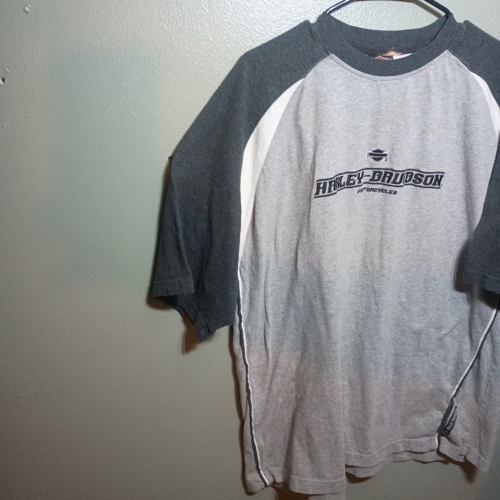 Harley-Davidson T-Shirt, Men L Grey Raglan Short Sleeve Graphic Tee Distressed